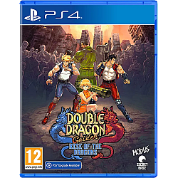 Double Dragon Gaiden Rise Of The Dragons