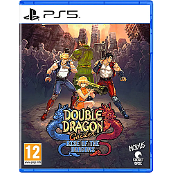 Double Dragon Gaiden Rise Of The Dragons