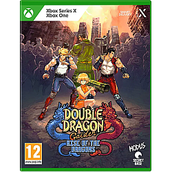 Double Dragon Gaiden Rise Of The Dragons
