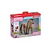 Schleich Bh Achal Tekkiner Stallion 42621
