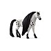 Schleich Bh Knabstrupper Stallion 42622