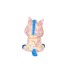 Plus Ty Beanie Boos Blitz The Unicorn 23cm (1607-37261) Plus Ty Beanie Boos Blitz The Unicorn 23cm (1607-37261)