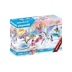 Set Playmobil Picnic With Pegasus Carriage (71246)