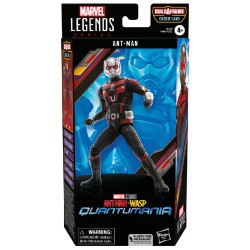 Marvel Legends Series Cassie Lang Ant Man &wasp Quantumania Ant Man 15cm