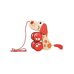 Hape Walk-a-long Puppy (5707)