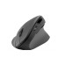 Mouse Speedlink Piavo Ergonomic Vertical Wireless Rubber Black