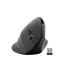 Mouse Speedlink Piavo Ergonomic Vertical Wireless Rubber Black
