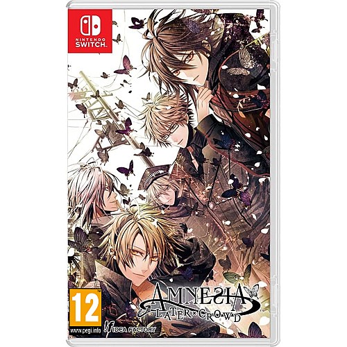 Amnesia Later X Crowd