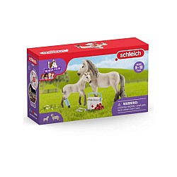 Set Schleich Horse Club Hannah's First-aid Kit (42430)