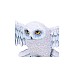 Harry Potter Hedwig Wall Plaque 45cm