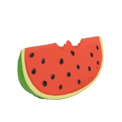 Oli & Carol Watermelon Wally (oc8852)