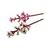 Lego Cherry Blossoms (40725) Lego Cherry Blossoms (40725)