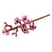 Lego Cherry Blossoms (40725) Lego Cherry Blossoms (40725)