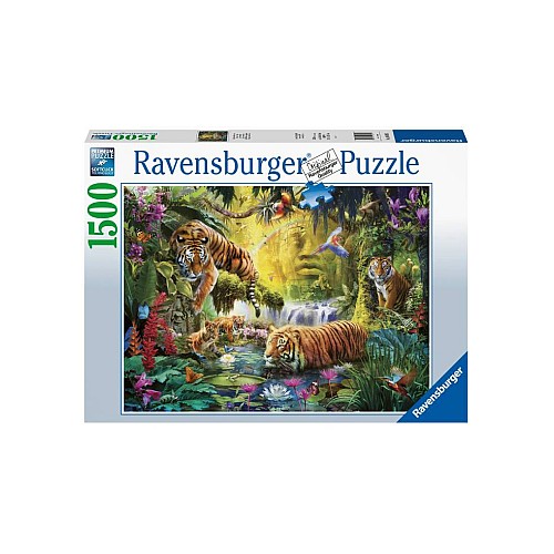 Puzzle Ravensburger Tranquil Tigers 1500pc (10216005)