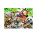 Puzzle Ravensburger Exotic Animals Selfie 300pc (rae10113354)