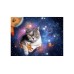 Puzzle Ravensburger Cats In Space 1500pc (10217439) Puzzle Ravensburger Cats In Space 1500pc (10217439)