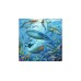 Puzzle Ravensburger Ocean Life 3x49pc (05149)
