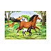 Puzzle Ravensburger World Of Horses 2x24pc (08882)