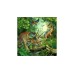 Puzzle Ravensburger Dinosaur Facination 3x49pc (09317)