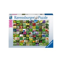 Puzzle Ravensburger 99 Herbs And Spices 1000pc (15991)