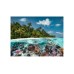 Puzzle Ravensburger A Dive In The Maldives 2000pc (10217441)