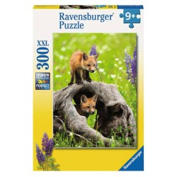 Puzzle Ravensburger Curious Foxes 300pc