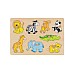 Goki Zoo Animals Lift-out (57874)