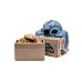 Disney Cookie Jar Lilo & Stitch Ohana Disney Cookie Jar Lilo & Stitch Ohana