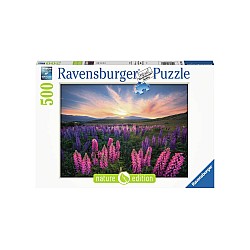 Puzzle Ravensburger Lupins 500pc (10217492)