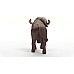 Schleich Wild Life African Buffalo (148729) Schleich Wild Life African Buffalo (148729)