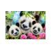 Robetoy Puzzle 3d With Plush Panda (48pcs) (28857) Robetoy Puzzle 3d With Plush Panda (48pcs) (28857)
