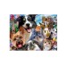 Educa 500 Pcs Funny Selfie Puzzle (80-19250)