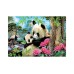 Educa 1000 Pcs Morning Panda Puzzle (017995) Educa 1000 Pcs Morning Panda Puzzle (017995)