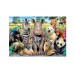Educa Puzzle 1000 Class Photo (015517)