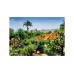 Ravensburger Puzzle Botanical Garden Madeira 1000p (12000853) Ravensburger Puzzle Botanical Garden Madeira 1000p (12000853)