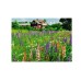 Ravensburger Puzzle Farm In Sweden 500p (12000844)
