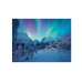 Ravensburger Puzzle The Arctic Show 1500p (12000802)