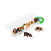 Collecta Mini Prehistoric Animals Giftset (col01100)