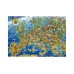 Educa 500 Pcs Crazy European Map Puzzle (80-17962)