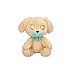 Baby Paws Labrador (264-921146) Baby Paws Labrador (264-921146)
