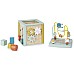 Saro Activity Cube (sao3345) Saro Activity Cube (sao3345)