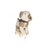 Smallstuff Pull Along Dog, Offwhite/ Nature