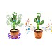 Music Spike The Crazy Cactus (501129)