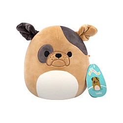 Squishmallows 19cm P20 Plush Loafer Dog (206091)