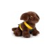 Small Foot Pet Set Dog (i-sf12600)