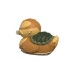 Numskull Avatar bz 1st Ed Turtle Duck