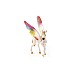 Schleich Winged Rainbow Unicorn, Foal (70577)