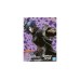 Banpresto Vibration Stars Naruto Shippuden Konan 15cm (89442) Banpresto Vibration Stars Naruto Shippuden Konan 15cm (89442)