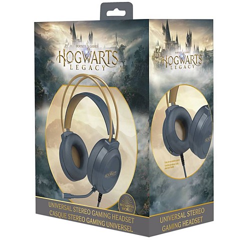 Harry Potter Dual Headset & Microphone