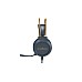 Harry Potter Dual Headset & Microphone